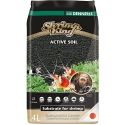 SHRIMPKING ACTIVE SOIL 4L Dennerle