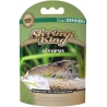 SHRIMP KING ATYOPSIS Dennerle