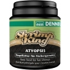 SHRIMP KING ATYOPSIS Dennerle