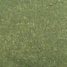 SHRIMP KING ATYOPSIS Dennerle