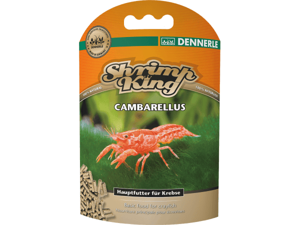 SHRIMP KING CAMBARELLUS Dennerle