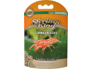 SHRIMP KING CAMBARELLUS Dennerle