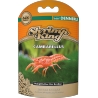 SHRIMP KING CAMBARELLUS Dennerle