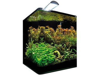 NANOCUBE COMPLETE+ 30 L - STYLE LED M Dennerle