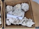 Pierres mortes naturelles de 10 à 30 cm Carton 18KG