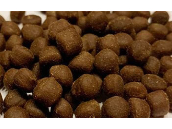 Coral Pellet Large 100GR Ocean nutrition