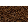 Coral Pellet Small 100GR Ocean nutrition