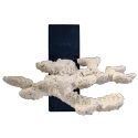 FLOATING ROCK SET BACK Blue Marine