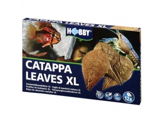 Catappa Leaves XL HOBBY