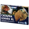 Catappa Leaves XL HOBBY