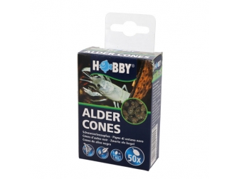 Alder Cones HOBBY