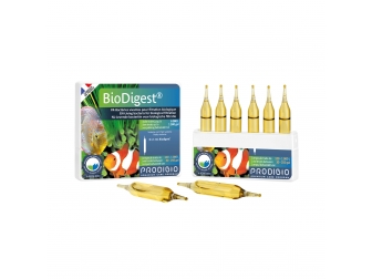 Bio Digest 6 Ampoules Bactéries