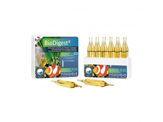 Bio Digest 12 Ampoules Bactéries