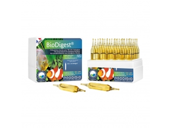 Bio Digest 30 Ampoules Bactéries