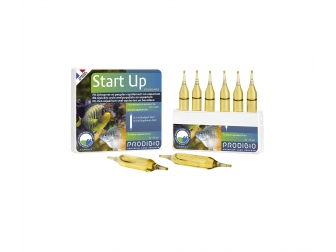 START UP 6 AMPOULES