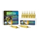 START UP 12 AMPOULES*