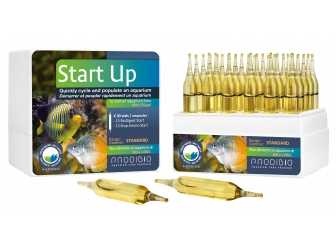START UP 30 AMPOULES*