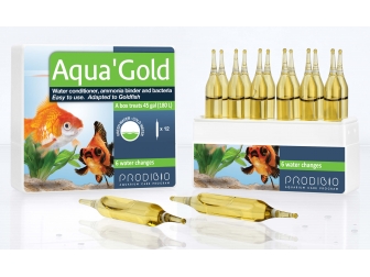 Aqua'Gold 12Amp