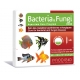 Bacteria & Fungi Fresh 6 AMPOULES