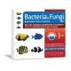 Bacteria & Fungi Salt 6 AMPOULES