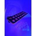 16 Hole Rack and Plugs Twist-Loc Racks Aquaprint Rose