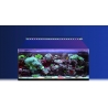 Reef Factory - Reef Flare BAR 120