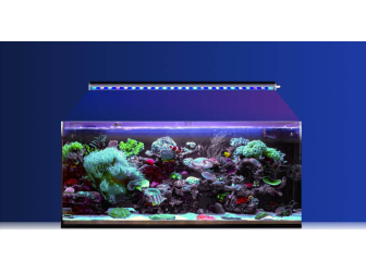 Reef Factory - Reef Flare BAR 60