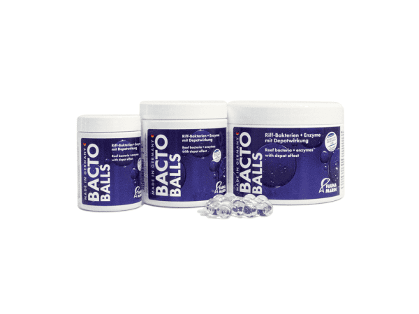 Bacto Reef Balls 100 ml Fauna Marin