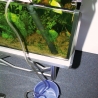 JBL PROCLEAN AQUA EX 45-70