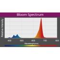 LED A360X Refugium Kessil