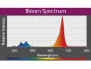 LED A360X Refugium Kessil