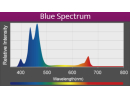 LED A360X Refugium Kessil