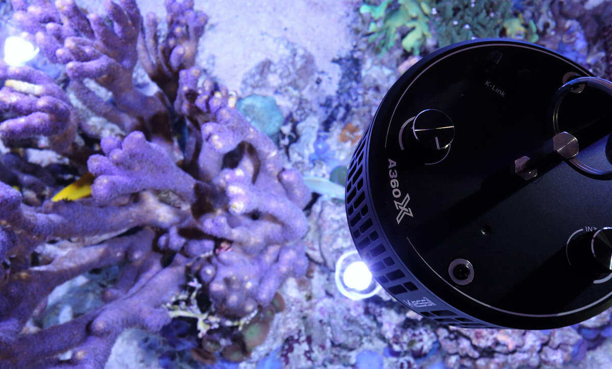 Kessil A360X 2個セット