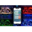 LED A500X Kessil