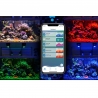 LED A500X Kessil