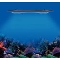 LED AP9X Kessil