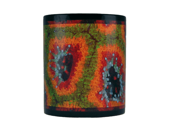 MUG "Mardi gras" Micromussa GROTECH