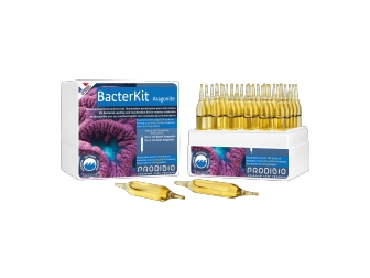 Bacter Kit Aragonite 30 ampoules Prodibio