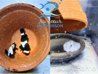 Amphiprion black storm élevage ACDP