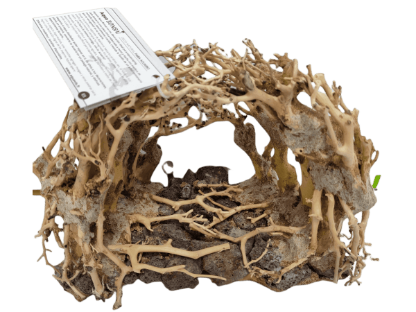 AQUAVIE BONSAI NATUR R MM NOP