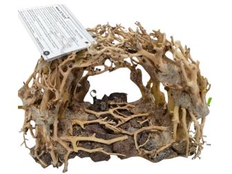 AQUAVIE BONSAI NATUR R MM NOP