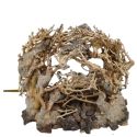 AQUAVIE BONSAI NATUR R MM NOP
