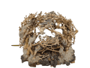 AQUAVIE BONSAI NATUR R MM NOP