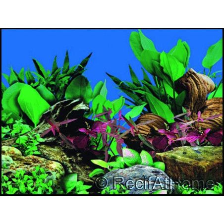 Poster Nature eau douce 50x15cm