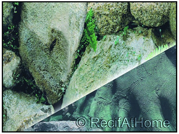 Poster Roche/Roche 50x15cm