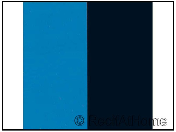 POSTER BLEU/NOIR 50cm X 1 mètre