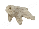 Acroporock XL y 18/20 cm Droite 619782