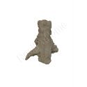 Acroporock XL y 18/20 cm Droite 619782