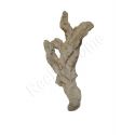 Acroporock XL Branche courbe 35 38 cm 619786