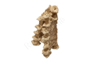 Multi Reef element Aquaroche
